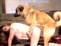Beastiality lover got pounded by a black canine